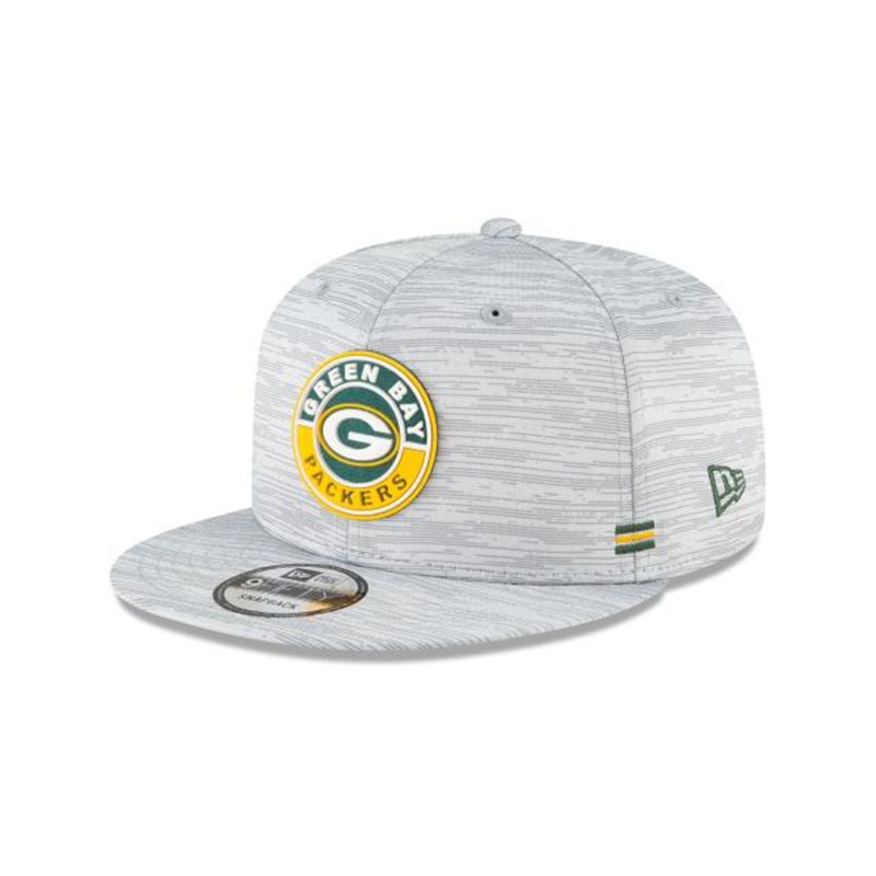 NFL Green Bay Packers Official Fall Sideline 9Fifty Snapback (HJZ2947) - Grey New Era Caps